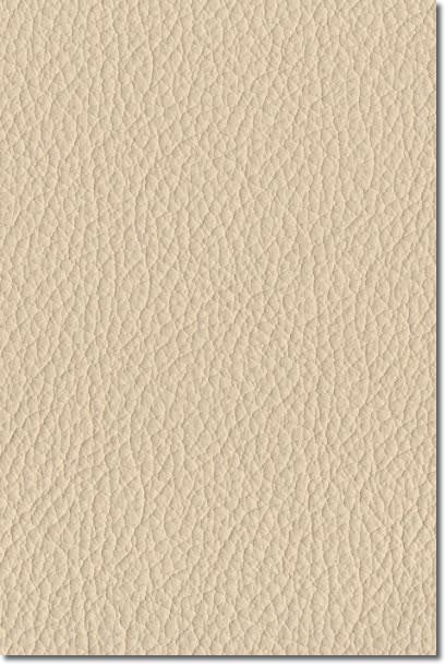 Bean Bag Bone Leather