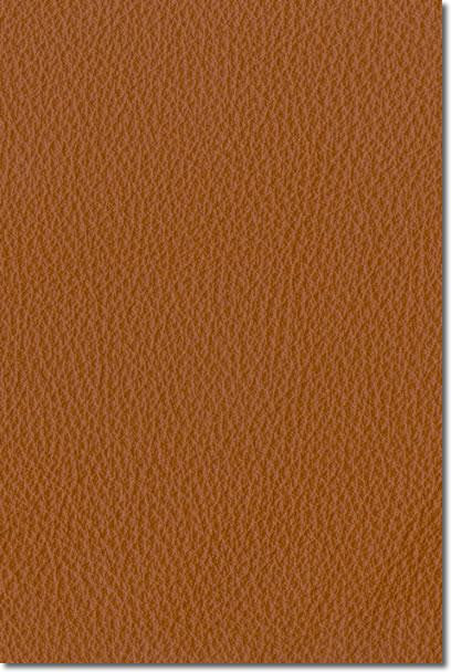 Bean Bag Orange Leather