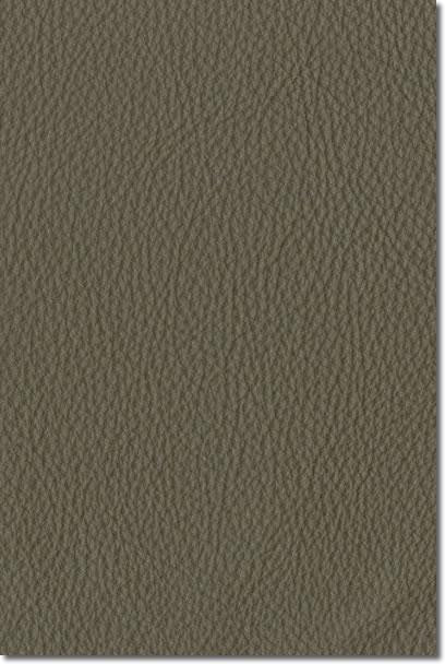 Bean Bag Sage Leather