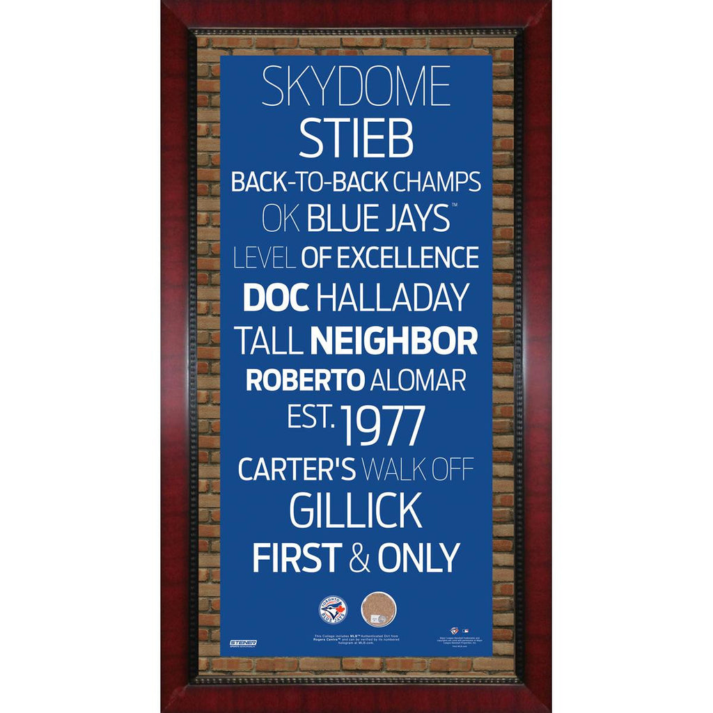 Toronto Blue Jays Subway Sign Wall Art 16x32 Frame w Authentic Dirt from the Rogers Centre