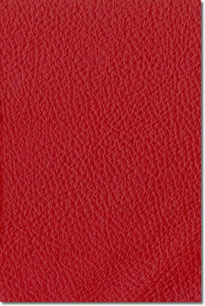 Bean Bag Red Leather