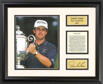 David Toms - Signature Series