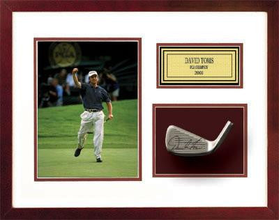 David Toms - Club Head Series