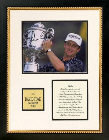 David Toms - Biography Series