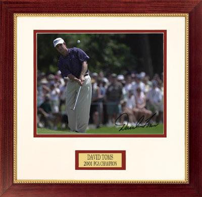 David Toms - Classic Series