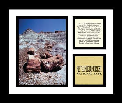 Petrified Forest National Park