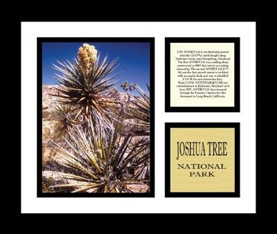 Joshua Tree National Park