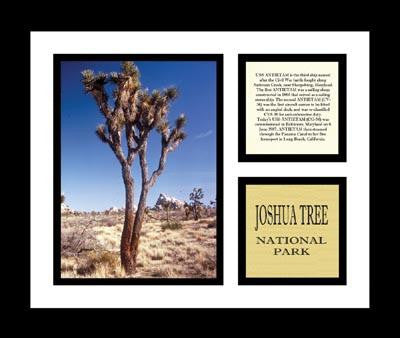 Joshua Tree National Park