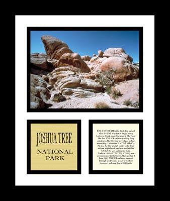 Joshua Tree National Park