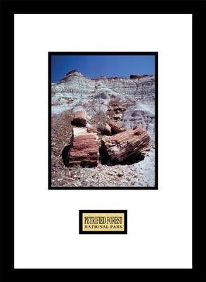 Petrified Forest National Park