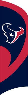 TTTX Texans Tall Team Flag with pole