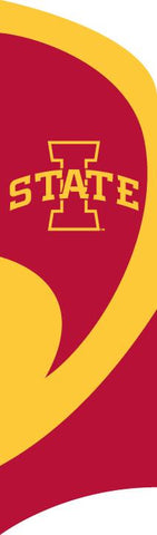 TTIAS Iowa State Tall Team Flag with pole