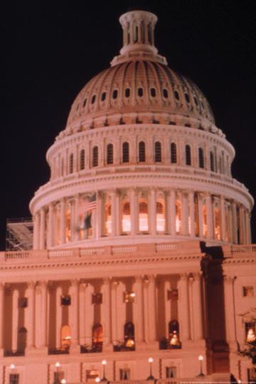 Dome of the U.S. Capitol Building 20x30 poster