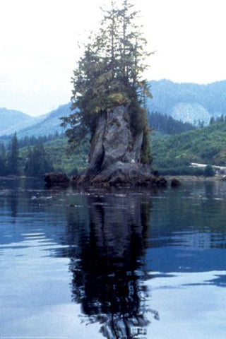 Hobart Bay, Alaska 20x30 poster