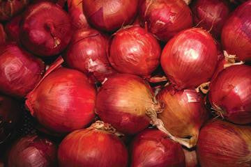 Red Onions 20x30 poster