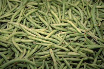 Green Beans 20x30 poster