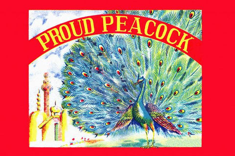 Proud Peacock 20x30 poster