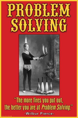 Problem Solving 20x30 poster