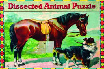 Dissected Animal Puzzle 20x30 poster