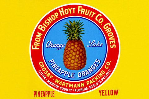 Orange Lake Pineapple Oranges 20x30 poster