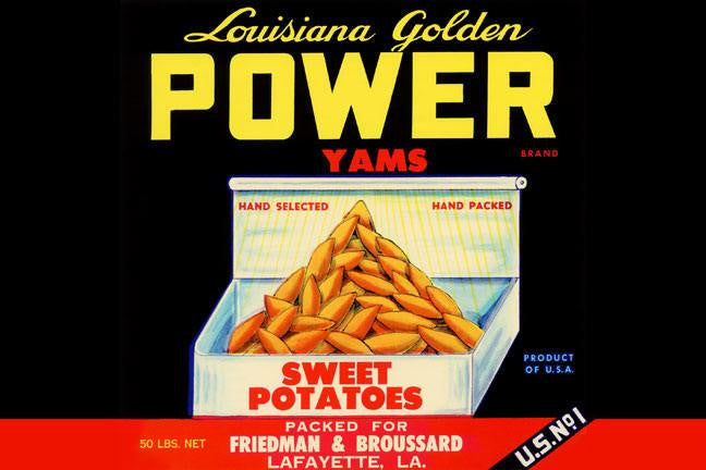 Louisiana Golden Power Yams 20x30 poster