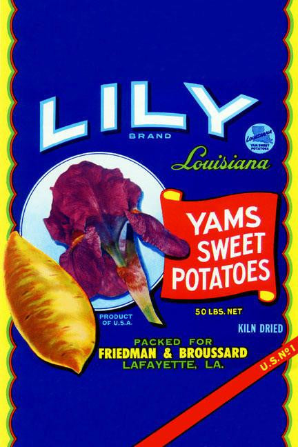 Lily Brand Yams Sweet Potatoes 20x30 poster