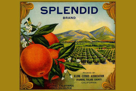 Splendid Brand Citrus 20x30 poster