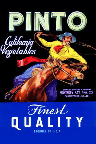 Pinto Califonia Vegetables 20x30 poster