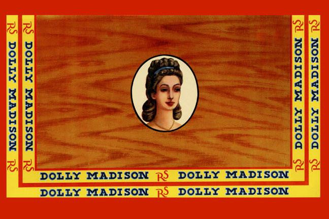 Dolly Madison - Mild Satisfying 20x30 poster