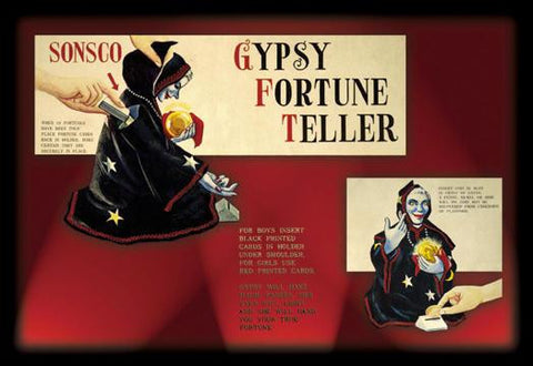 Gypsy Fortune Teller Instructions 20x30 poster