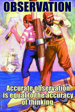 Observation 20x30 poster