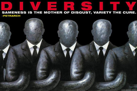 Diversity 20x30 poster