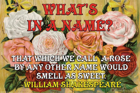 Whats in a Name? 20x30 poster