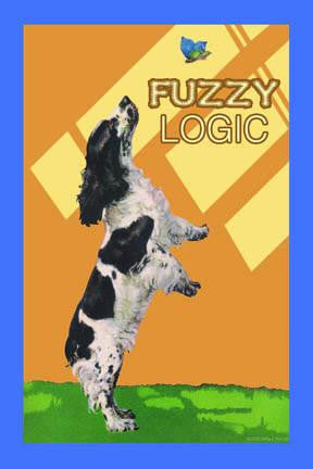 Fuzzy Logic 20x30 poster