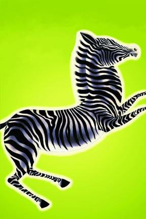 Zebra 20x30 poster