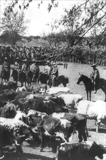 Cattle and Cowboys in Chile 20x30 poster