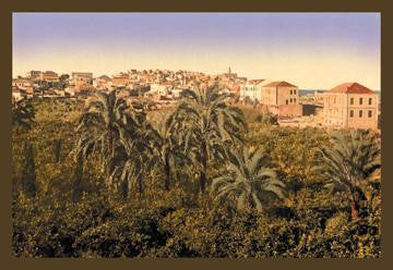 Jaffa Garden 20x30 poster