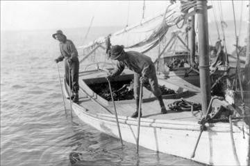 Fishing Oysters in Mobile Bay 20x30 poster