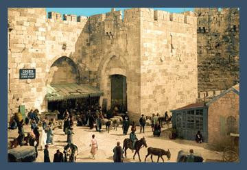 The Jaffe Gate 20x30 poster