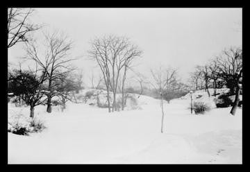 First Snow of the Season in Central Park 20x30 poster