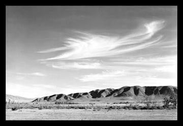 Landscape at Manzanar 20x30 poster