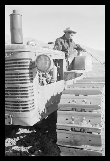 Benji Iguchi on Tractor 20x30 poster