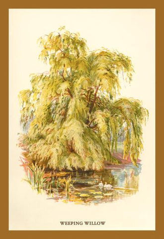 The Weeping Willow 20x30 poster