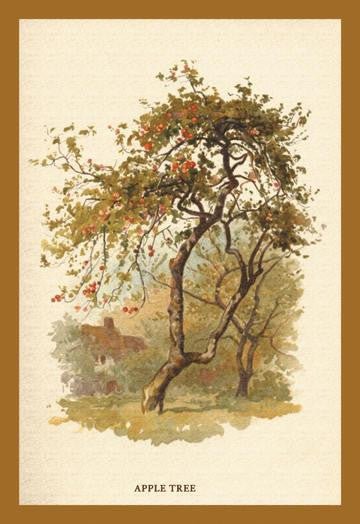 Apple Tree 20x30 poster