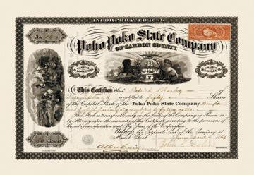 Poho Poko Slate Company Stock 20x30 poster