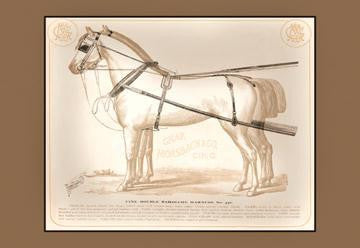 Fine Double Barouche Harness 20x30 poster