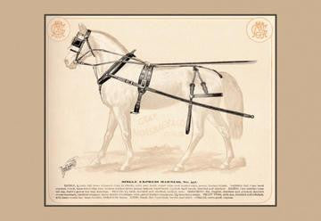 Single Express Harness 20x30 poster