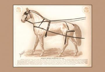 Single Buggy Harness 20x30 poster