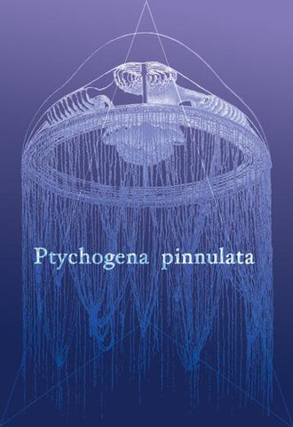 Jellyfish: Ptychogena Pinnulata 20x30 poster