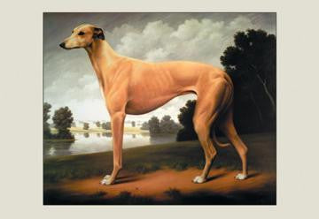 Greyhound on a Parkland Landscape 20x30 poster